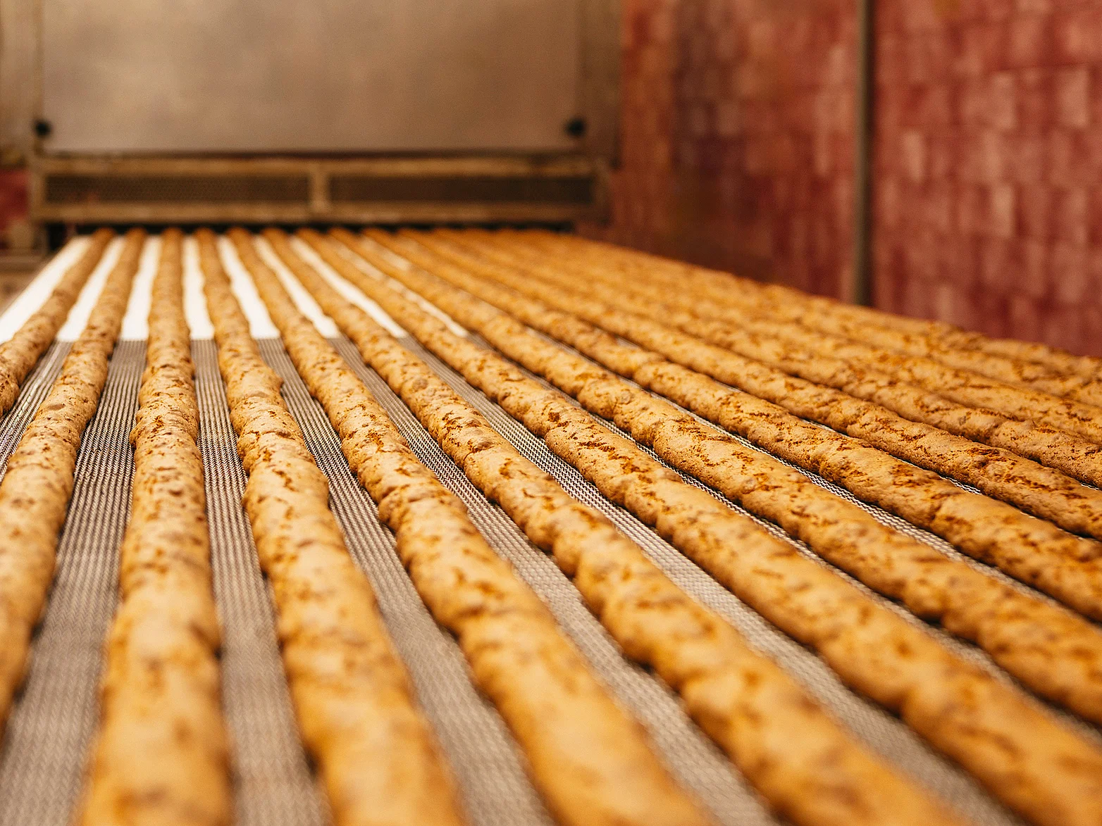 Gebackene Belli Cantuccini Teigrolle am Stück auf Kühlgitter